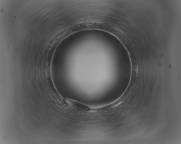 X0000073701014200608171107