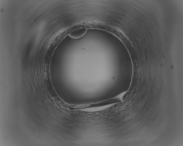 X0000073701016200608171107