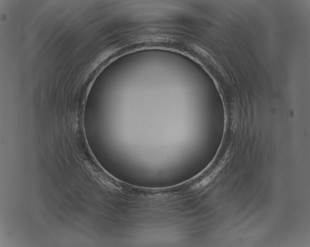 X0000073701017200608171107