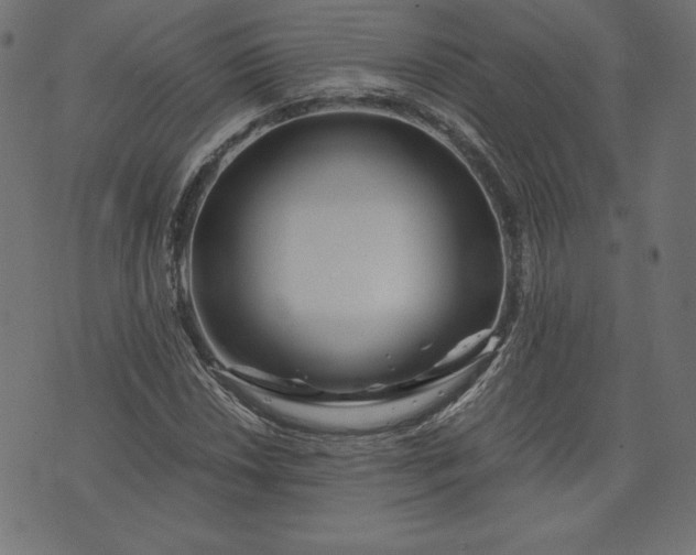 X0000073701018200608171107