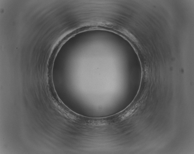 X0000073701020200608171107