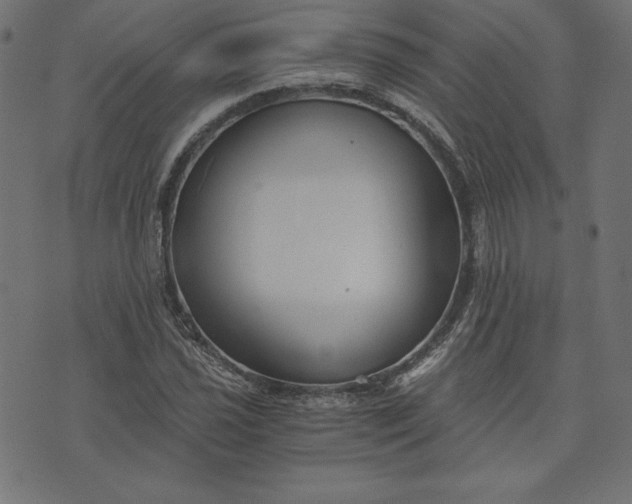 X0000073701021200608171107