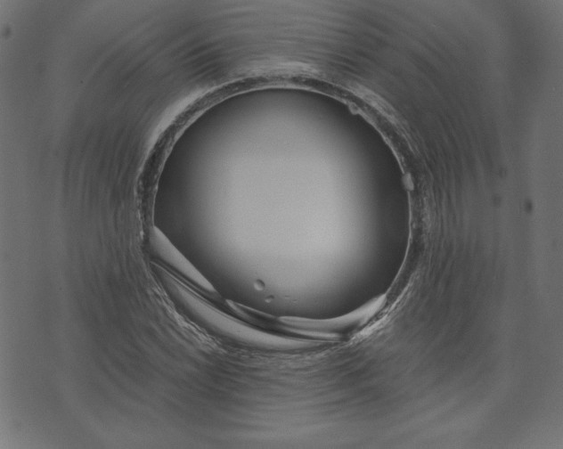 X0000073701022200608171108