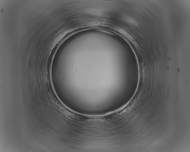 X0000073701023200608171108