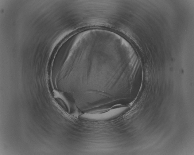 X0000073701024200608171108