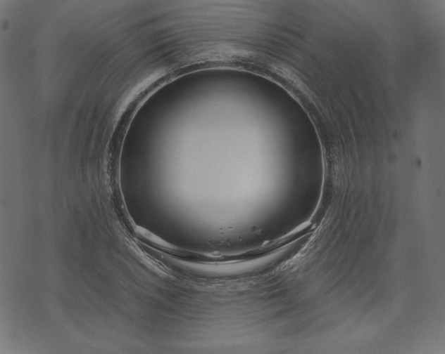 X0000073701026200608171108