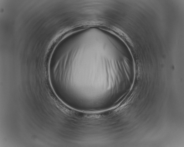 X0000073701027200608171108