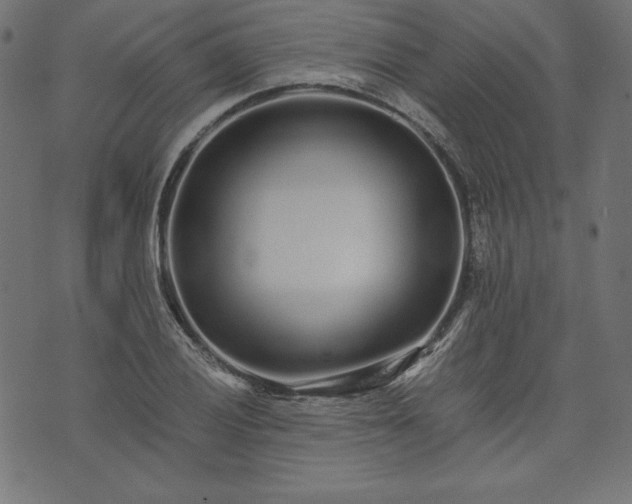 X0000073701028200608171108