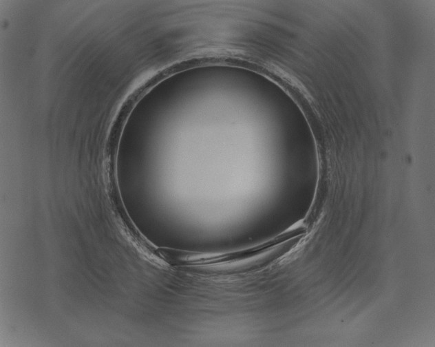 X0000073701029200608171108