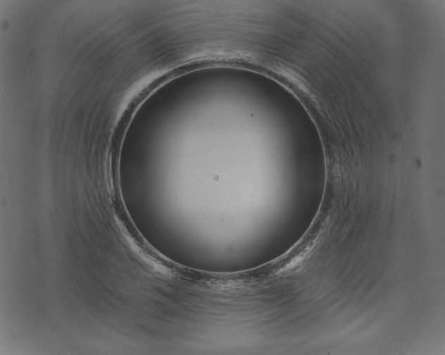 X0000073701030200608171108