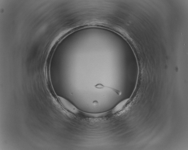 X0000073701032200608171108