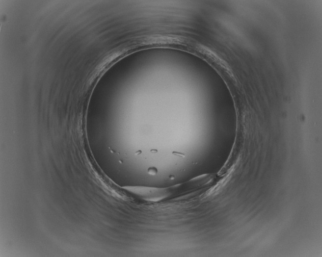 X0000073701033200608171108