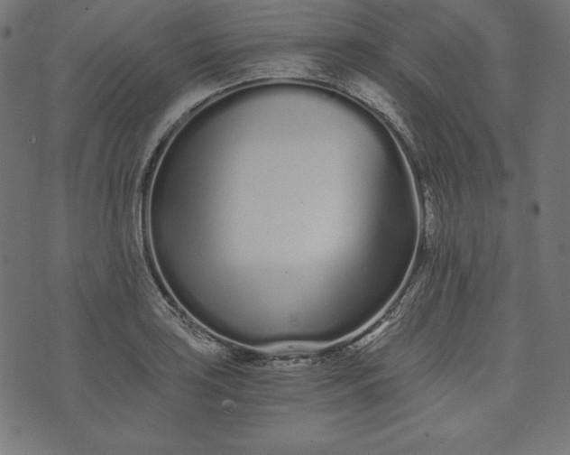 X0000073701035200608171108