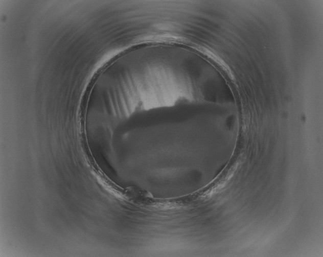 X0000073701037200608171108