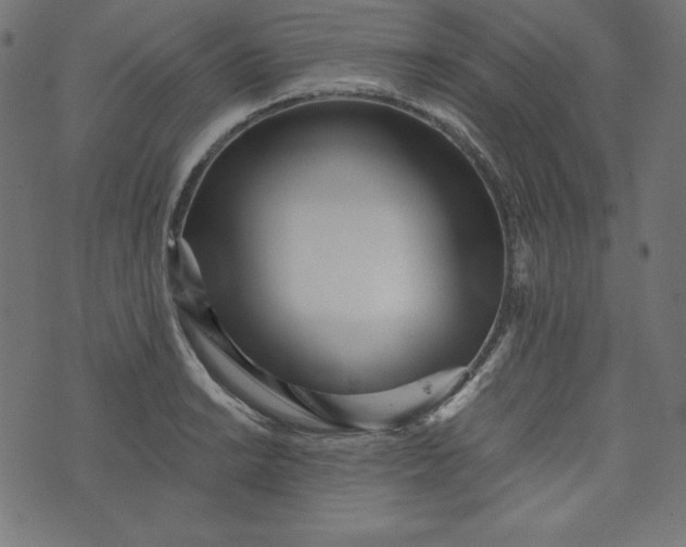 X0000073701038200608171108