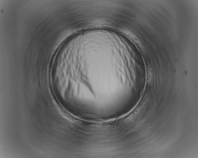 X0000073701039200608171108