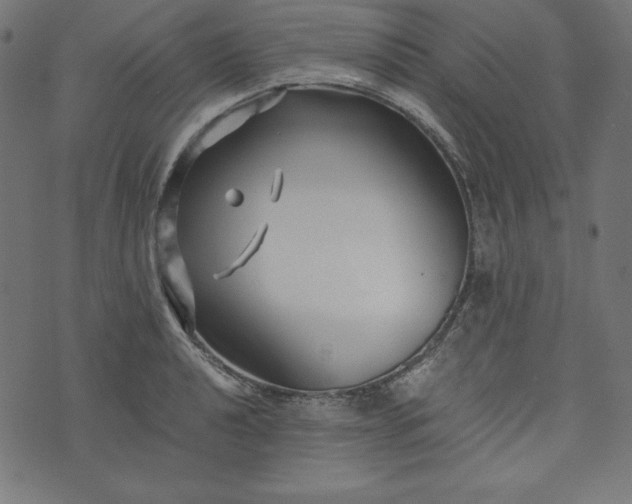 X0000073701040200608171108