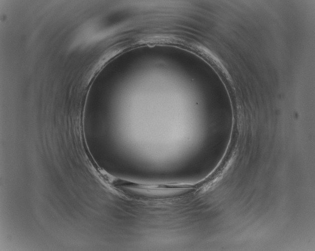 X0000073701041200608171108