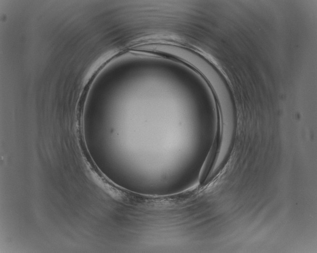 X0000073701042200608171108