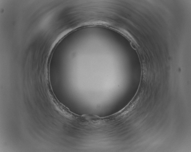 X0000073701044200608171108