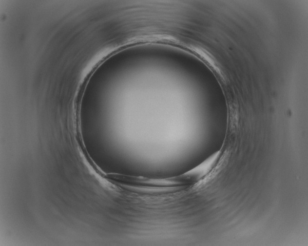 X0000073701046200608171108