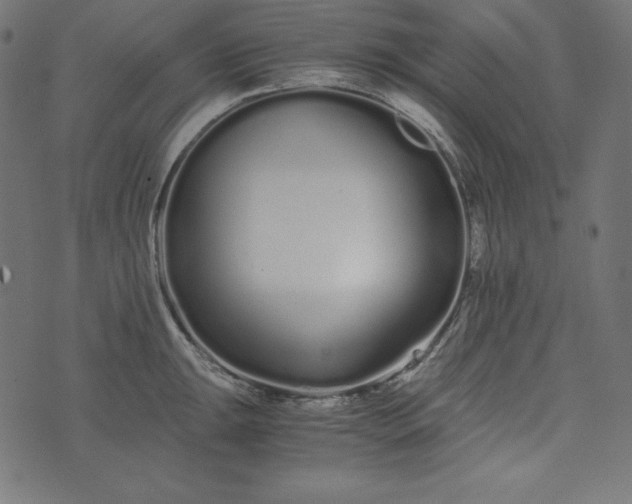 X0000073701047200608171108