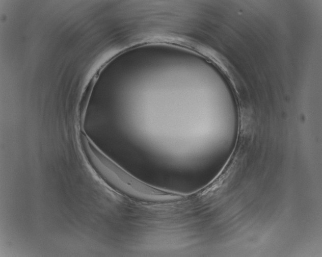 X0000073701048200608171108