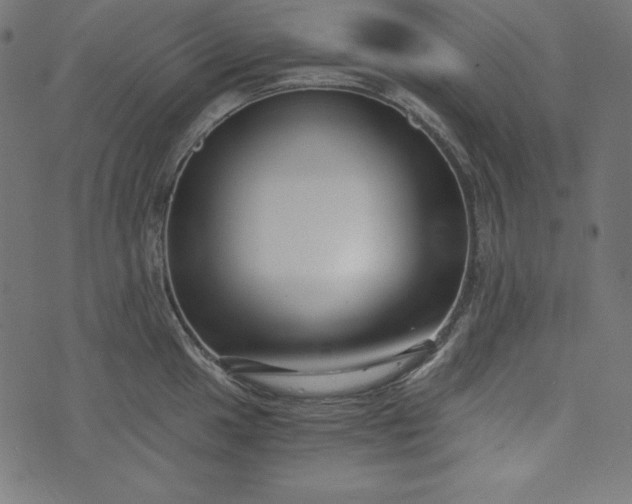 X0000073701049200608171108