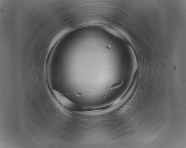 X0000073701050200608171108