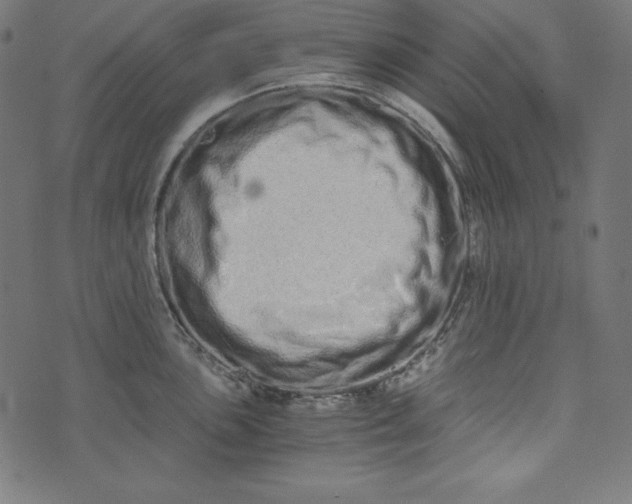 X0000073701051200608171108