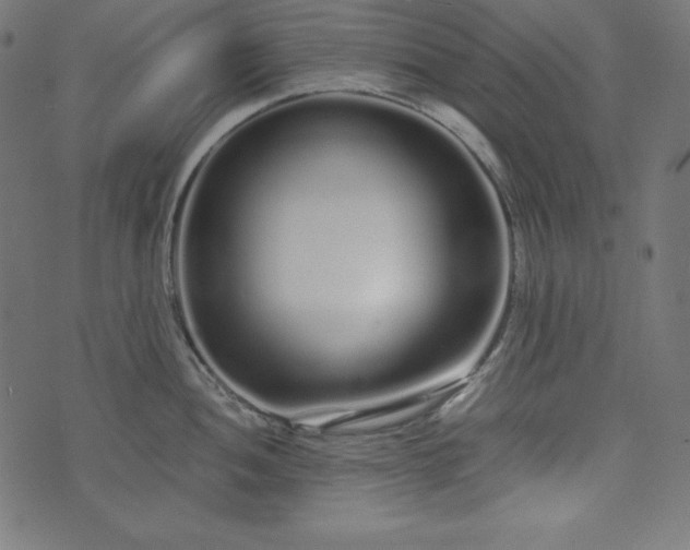 X0000073701052200608171108