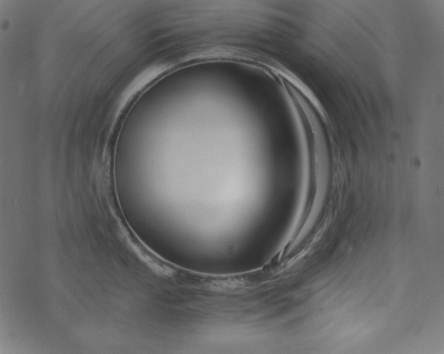 X0000073701053200608171108