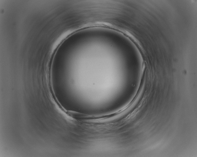 X0000073701054200608171108