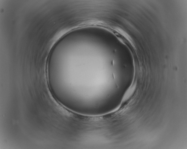 X0000073701055200608171108