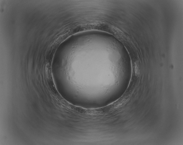 X0000073701059200608171107