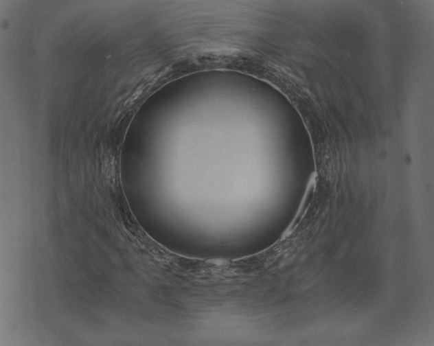 X0000073701061200608171107