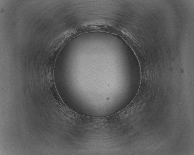 X0000073701062200608171107