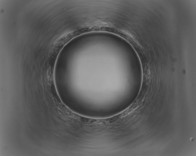 X0000073701063200608171107