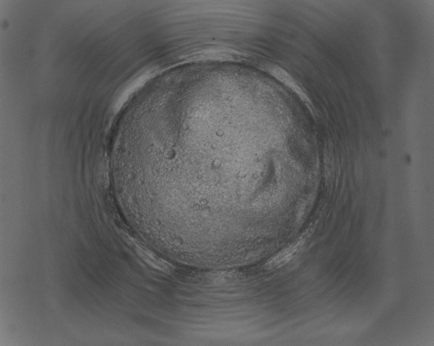 X0000073701067200608171107