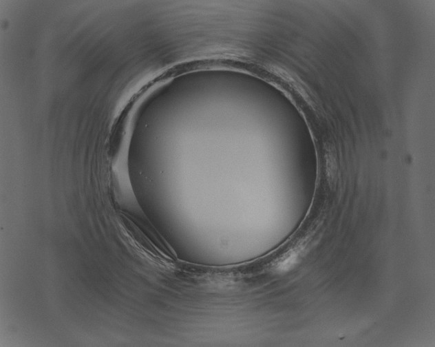 X0000073701069200608171107