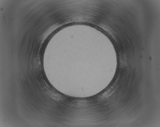 X0000073701070200608171107