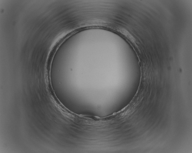 X0000073701072200608171107