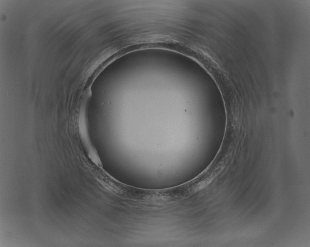 X0000073701073200608171107