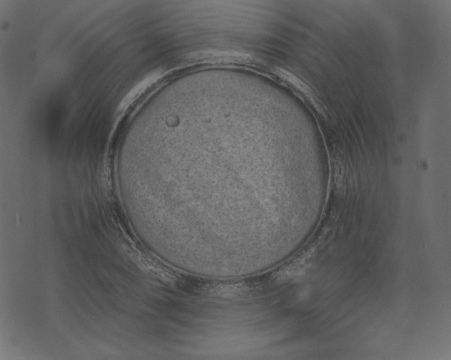 X0000073701074200608171107