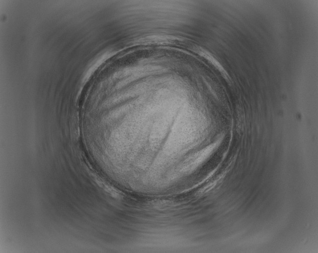 X0000073701075200608171107