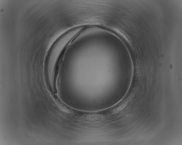 X0000073701077200608171107