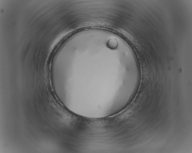 X0000073701078200608171107