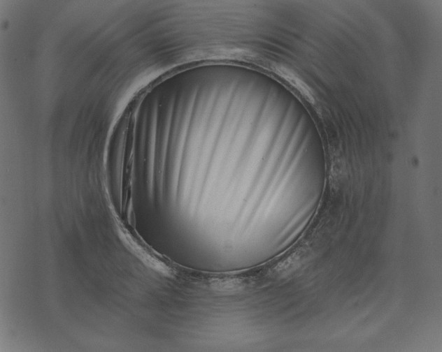 X0000073701080200608171107