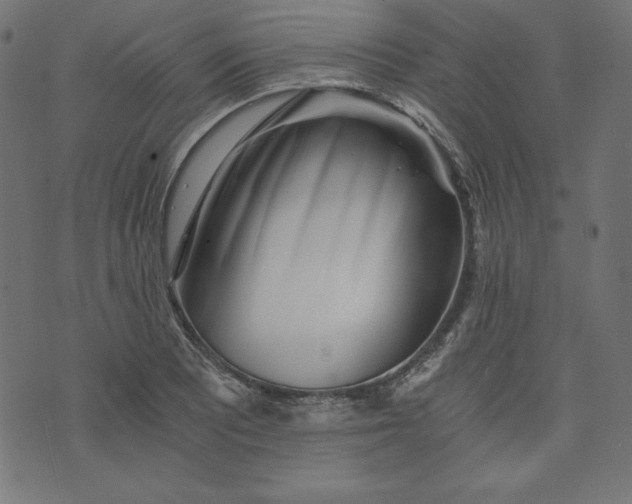 X0000073701081200608171107