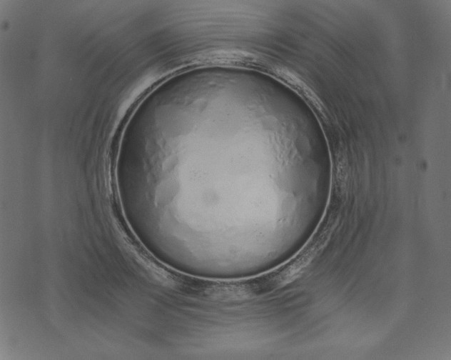 X0000073701083200608171107